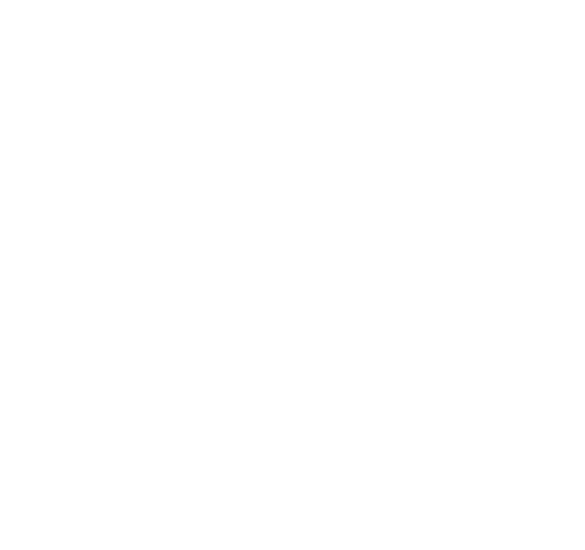 AODAI Logo